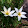Novita Normasari Novita Normasari's profile photo