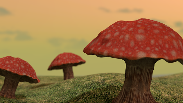 Cover photo