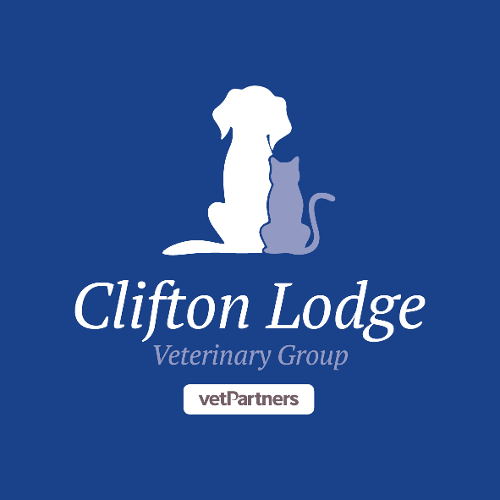 Clifton Lodge Veterinary Group, Hartlepool