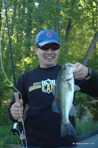 reston bass
