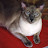 Mary Rudisill avatar image