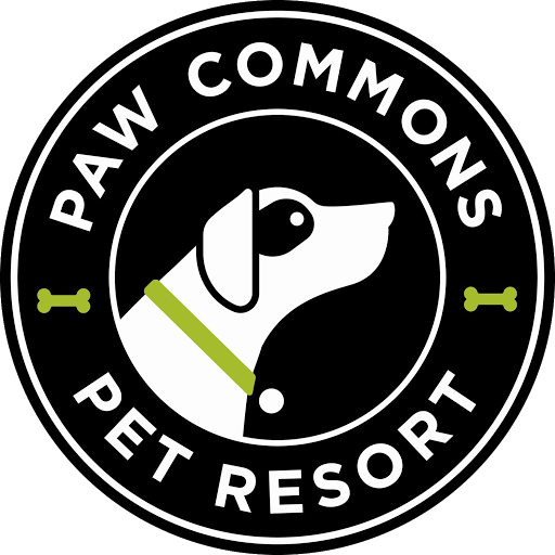Paw Commons Pet Resort