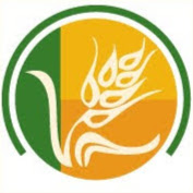 Fresh Choice Marketplace logo
