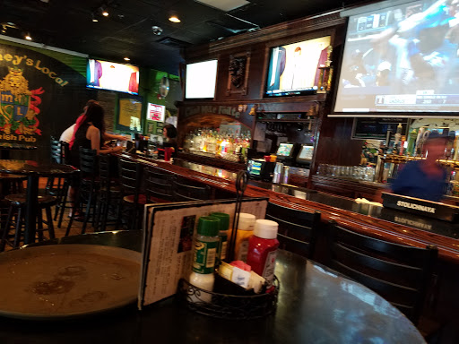 Irish Pub «Maloneys Local Irish Pub», reviews and photos, 9540 W Linebaugh Ave, Tampa, FL 33626, USA