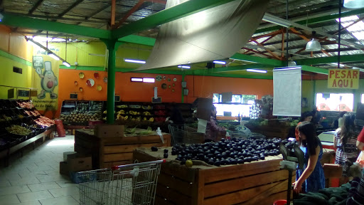 Supermercado de la Fruta: EL Rey de la Palta, Coronel Santiago Bueras 1602, Valdivia, Región de los Ríos, Chile, Supermercado o supermercado | Los Ríos