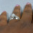Linda George avatar image