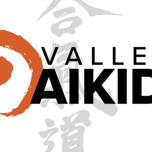 Valley Aikido Arizona Inc logo