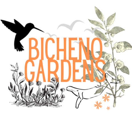 Bicheno Gardens Holiday Stay