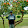 Tasneem Hameed Tasneem Hameed's profile photo