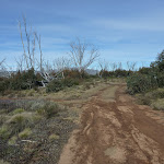 Int of Round Mountain and Farm Ridge Trails (289370)