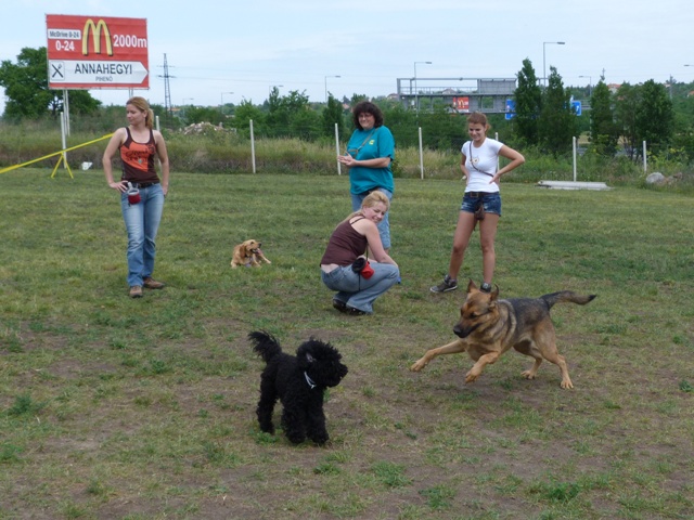 P1030771.JPG