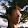 Max Jaffe Max Jaffe's profile photo