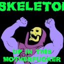 Helter Skeletor's user avatar