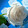 monika drescher monika drescher's profile photo