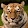 Alex Smith Alex Smith's profile photo