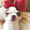 Melinda Dengler Melinda Dengler's profile photo