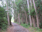 Along Coast Trail.