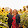 Michelle Dunbar Michelle Dunbar's profile photo