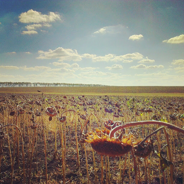 Галеев Артур, Оренбург, Россия, HTC One X, HDR camera pro, Instagram