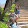Pablo Laiz Pablo Laiz's profile photo