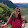 Ivy Liao Ivy Liao's profile photo