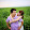 Ha Ton Viet Ha Ton Viet's profile photo