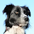 Robin Hudson avatar image