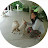 Xiang Yi Wong avatar image