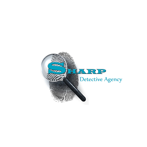 Sharp Detective Agency Chennai, No. 275, 2nd Floor, Fountain Plaza, Pantheon Road, Egmore, Chennai, Tamil Nadu 600008, India, Intelligence_Agency, state TN