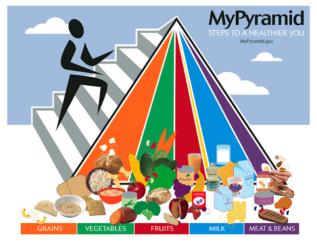 Nutrition Pyramid