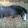louby lou Bannister louby lou Bannister's profile photo