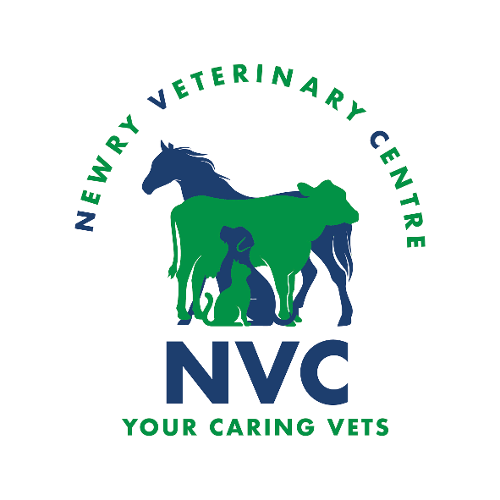 Newry Vets, Warrenpoint Veterinary Centre