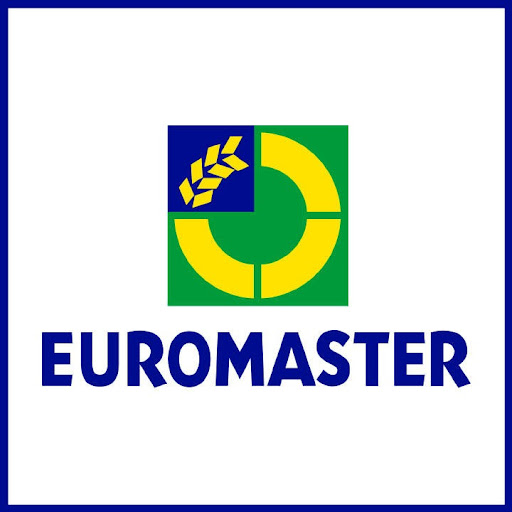Euromaster Zwolle logo