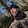 Johnny Mota Johnny Mota's profile photo