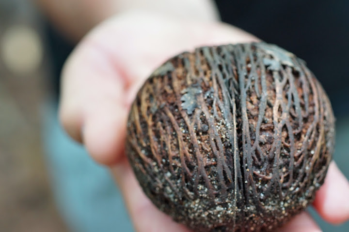 Шри-Ланка: на машине 1 100 км,  фото без комментариев, март-апрель 2013г.