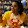 Chandan Shah Chandan Shah's profile photo