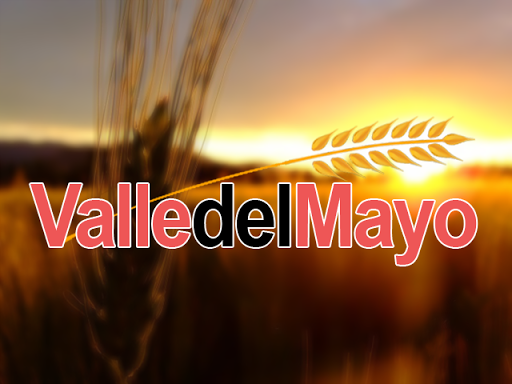 Valle del Mayo, Rosales #309, entre Otero y Ferrocarril, Reforma, 85830 Navojoa, Son., México, Agencia de noticias | SON