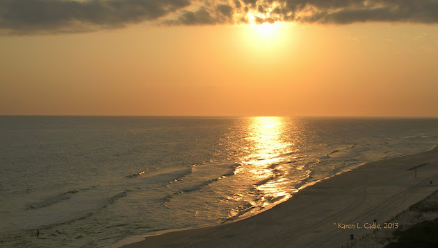 Cover photo