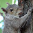 Jenn Burleson Mackay avatar image