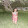 jescica fababa vargas jescica fababa vargas's profile photo