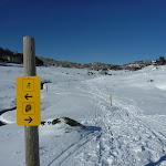 Following the posts with yellow signs (299665)