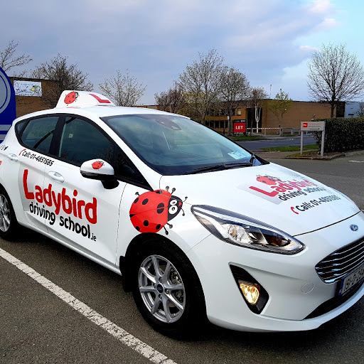 Ladybird Driving School Tallaght logo