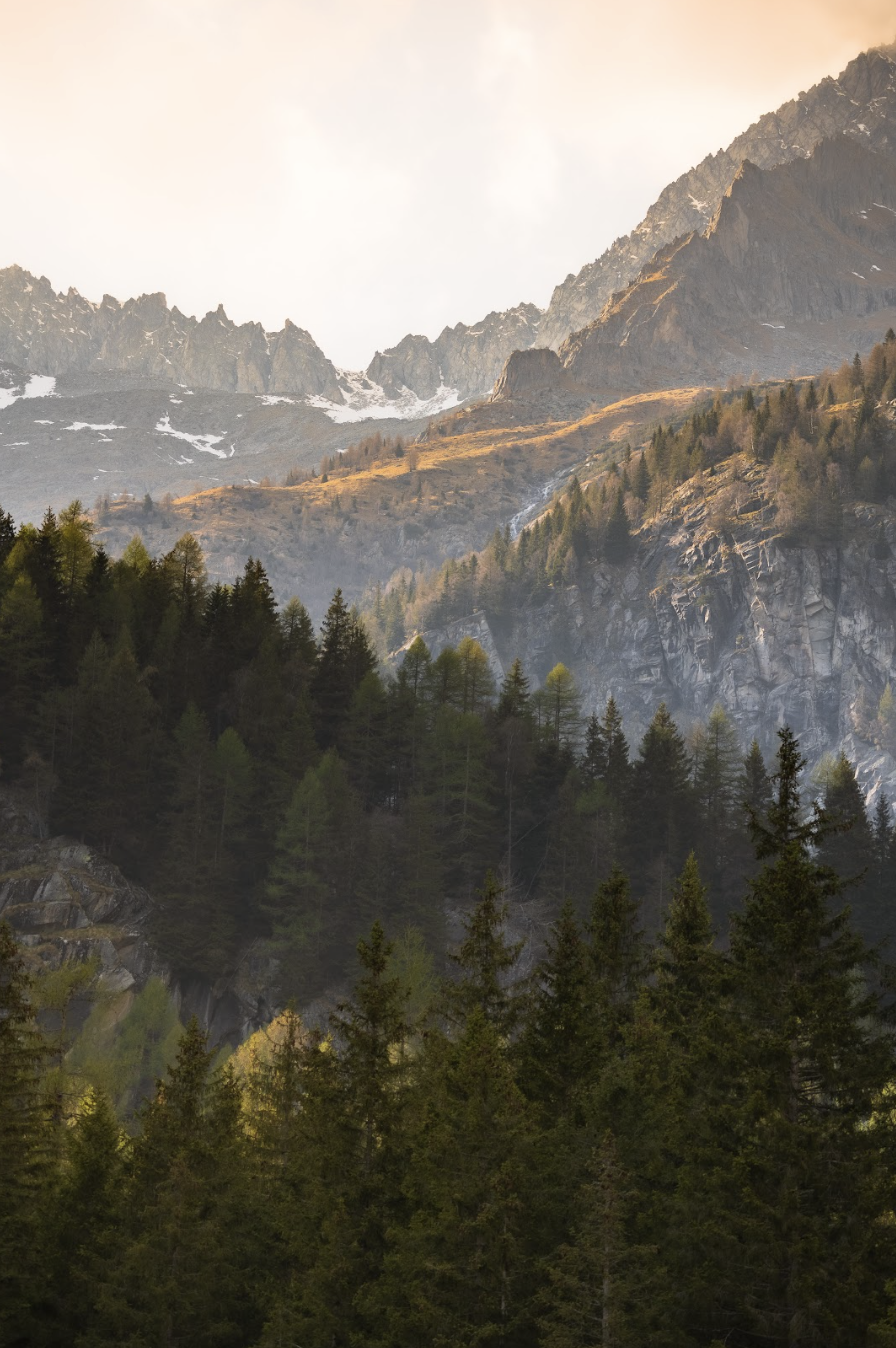 Forest and mountains at sunset are a reminder of the importance of mindful reflection