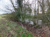 Pond in Osierground Covert - possibly an old marl pit