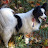Elizabeth S avatar image