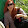 Samanta Dell Acqua Samanta Dell Acqua's profile photo