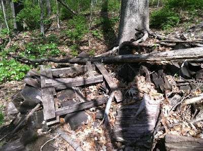 broken pallet woods tree logs dirt photo