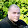 Patrick Riegert Patrick Riegert's profile photo