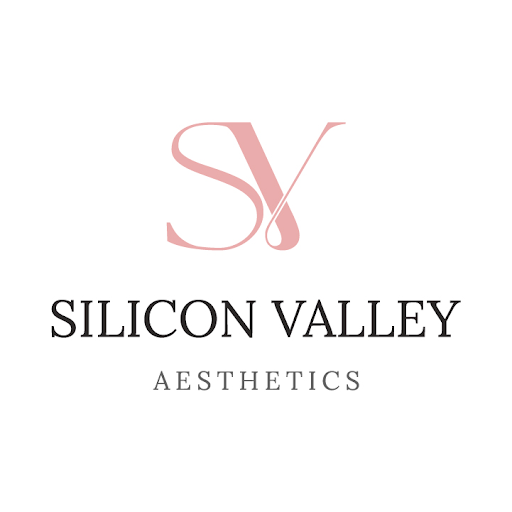Silicon Valley Aesthetics