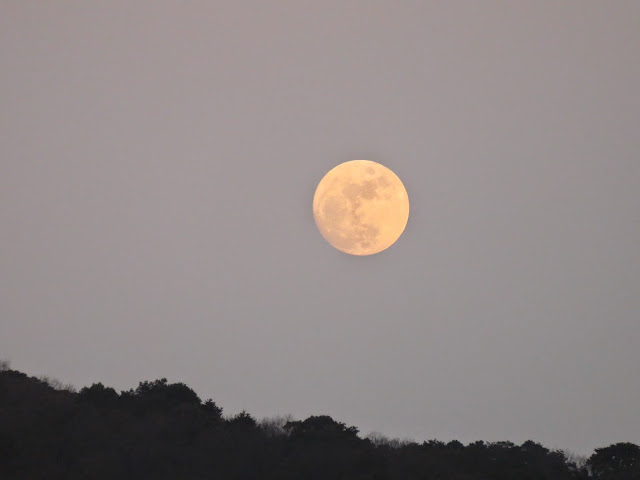 曽根干潟からの月-2